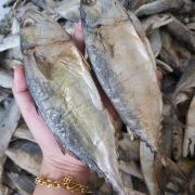 blog1